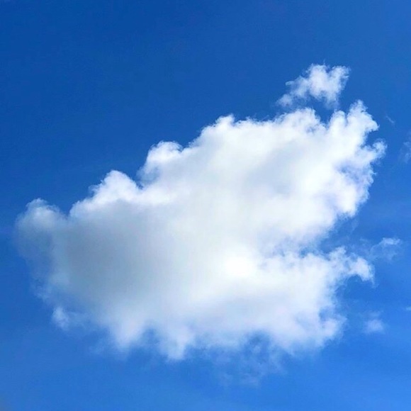 Meet your Posher, Grace - Picture 1 of 1